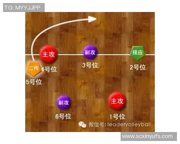 杭州排球队包夹战术解析与其在排球比赛中的应用探讨